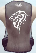 lion back bk